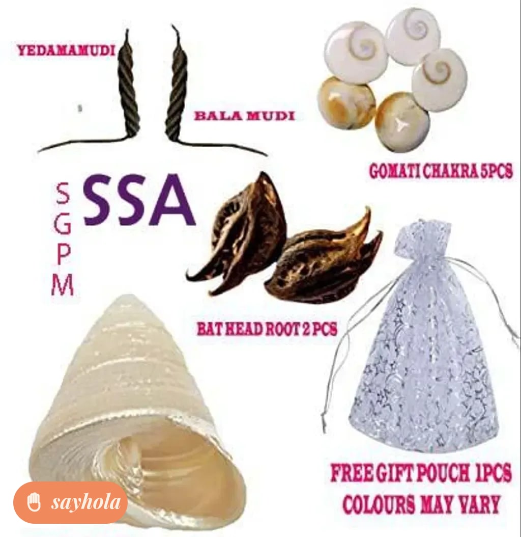 devi sri guru ji pooja kit with gomti chakra and devil's pod
