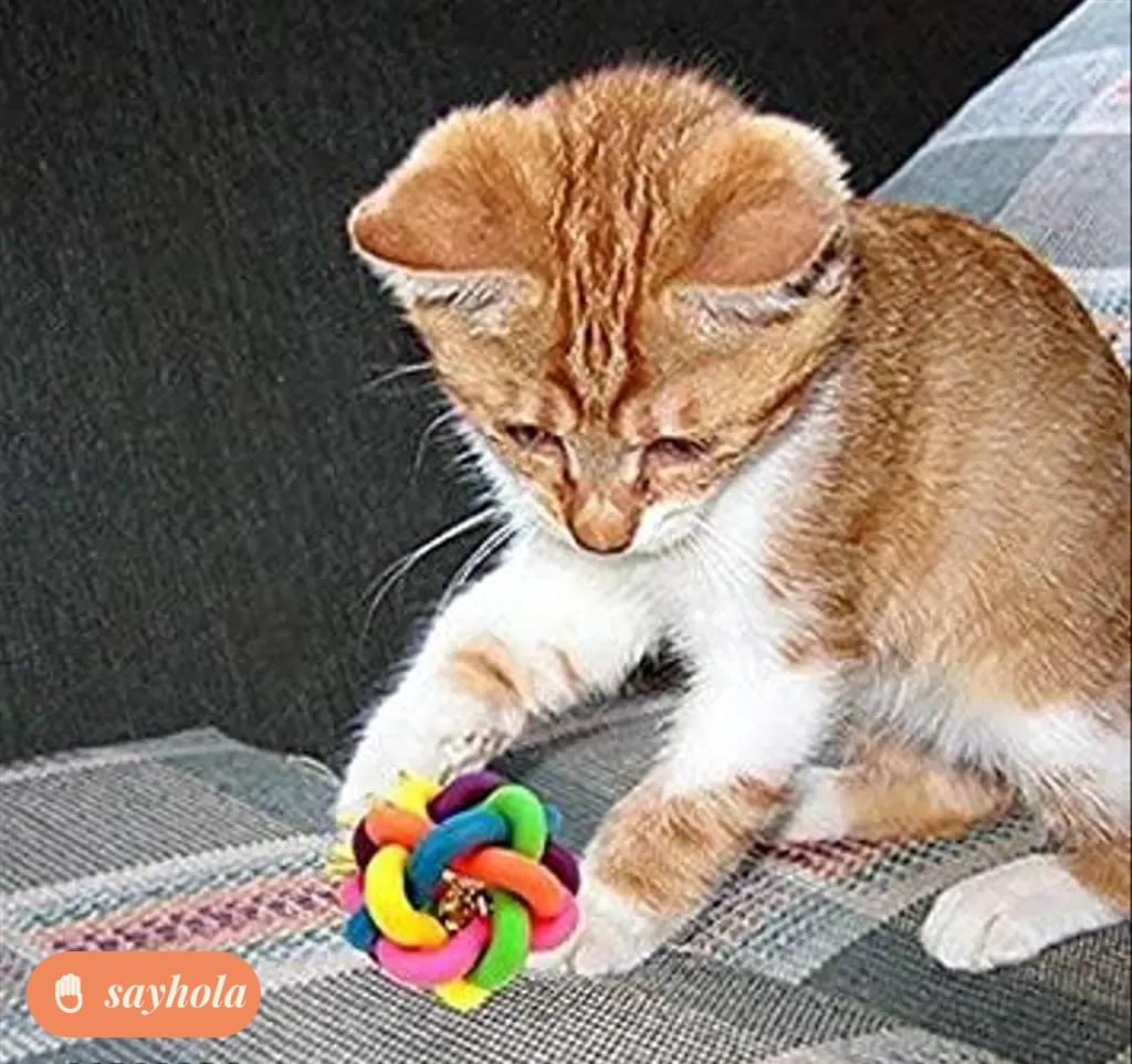 rubber multi color dog chew ball