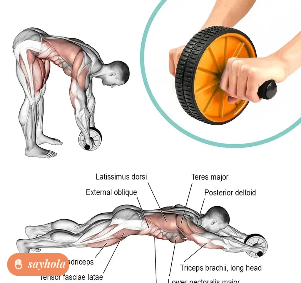 double-wheeled ab roller for core workouts