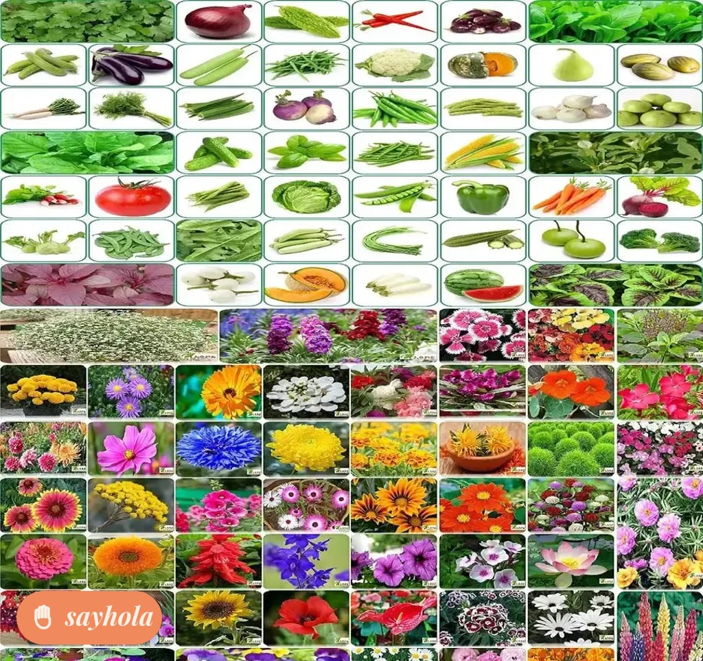 vegetable and flower seed starter pack