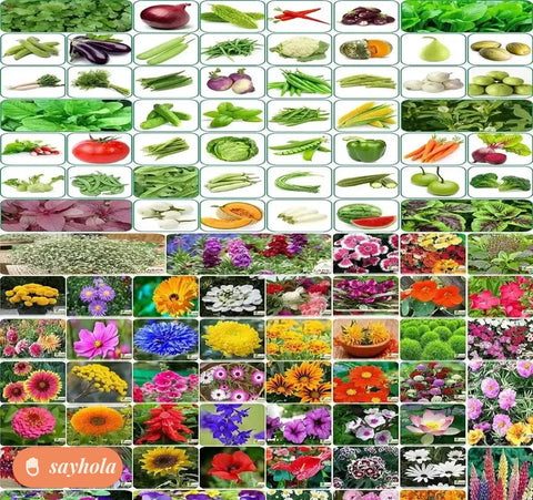 vegetable and flower seed starter pack