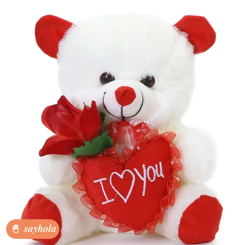 rose teddy and doreamon soft toy combo